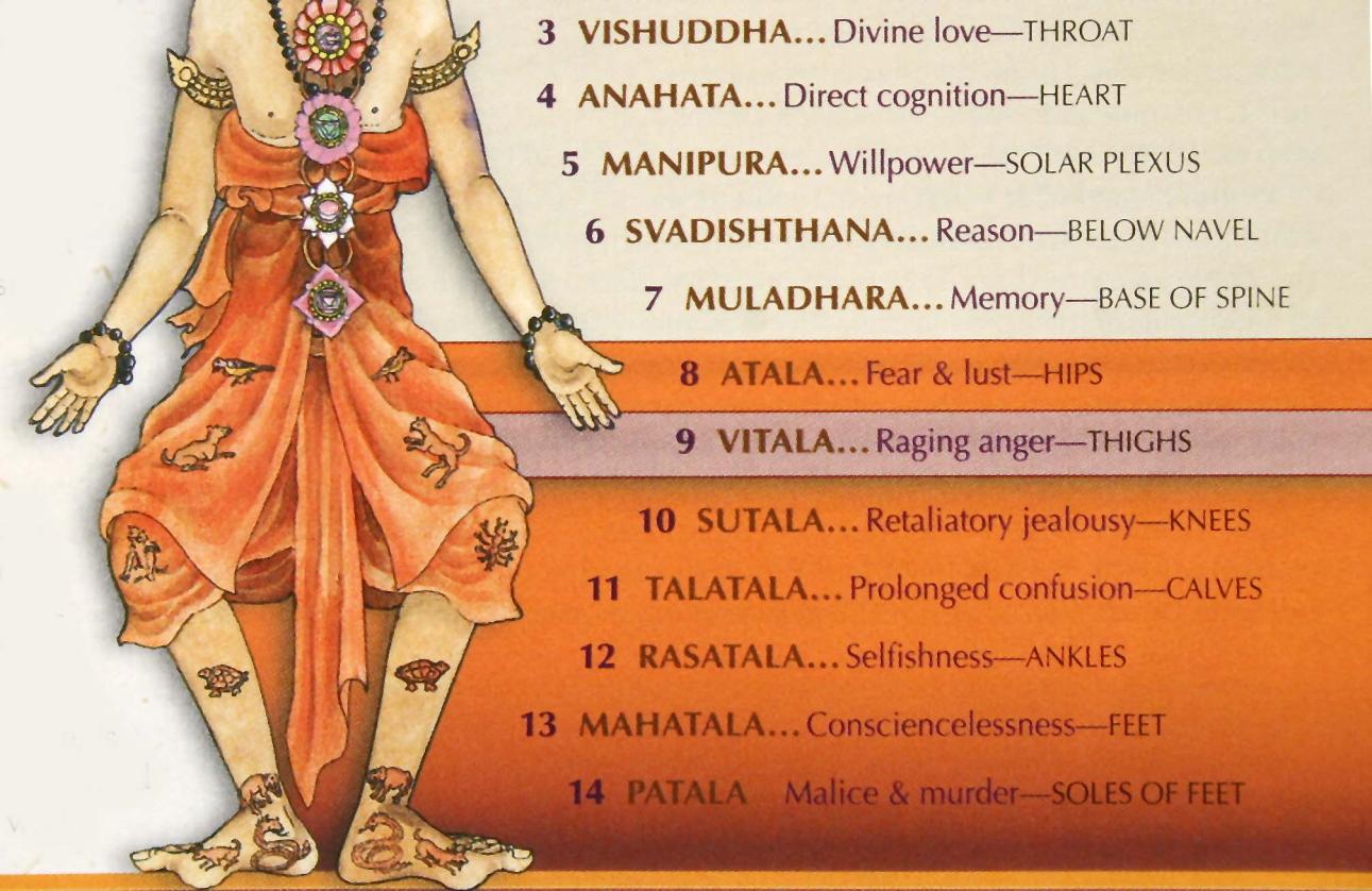 LOWER CHAKRAS